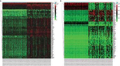 Identification of Methylation-Regulated Differentially Expressed Genes and Related Pathways in Hepatocellular Carcinoma: A Study Based on TCGA Database and Bioinformatics Analysis